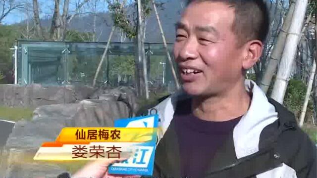 要发家致富,更要生态保护:杨梅树复合种养带来“红利”