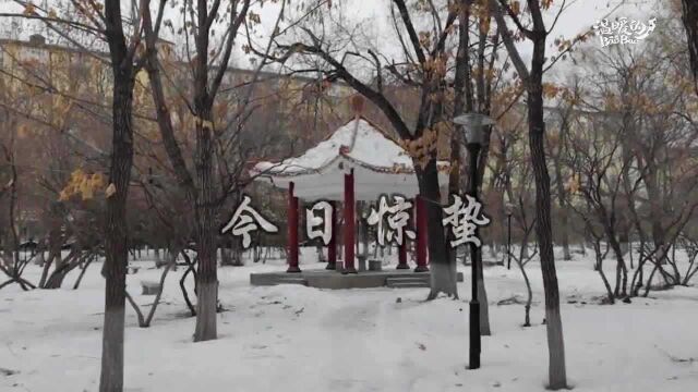 惊蛰时节 一起来看黑龙江大学校园雪景