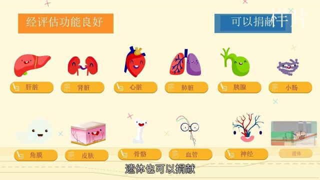 人体器官捐献知识科普动画