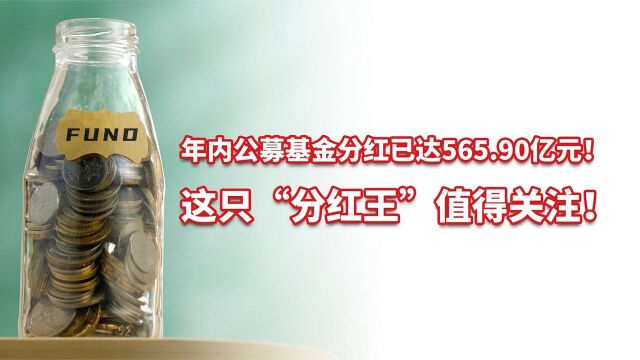 年内公募基金分红已达565.90亿元!这只“分红王”值得关注!