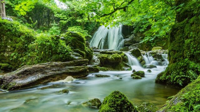 聆听大自然的声音,冥想、帮助睡眠、减压、治愈心灵的沉浸式音乐