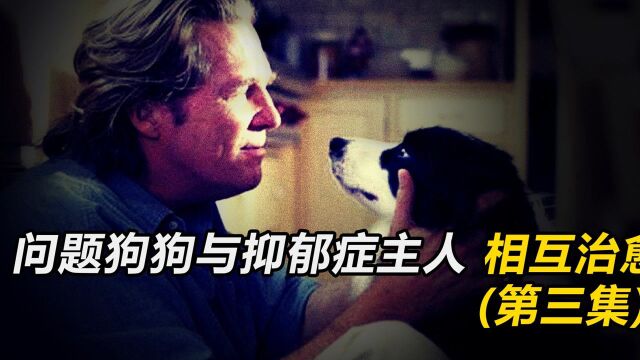 落魄作家喜得抑郁症,却被一条狗治愈了他!《狗年》