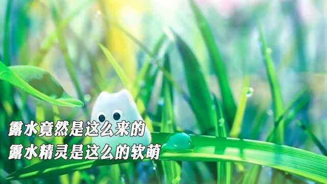 露水竟然是这么来的,露水精灵是这么的软萌