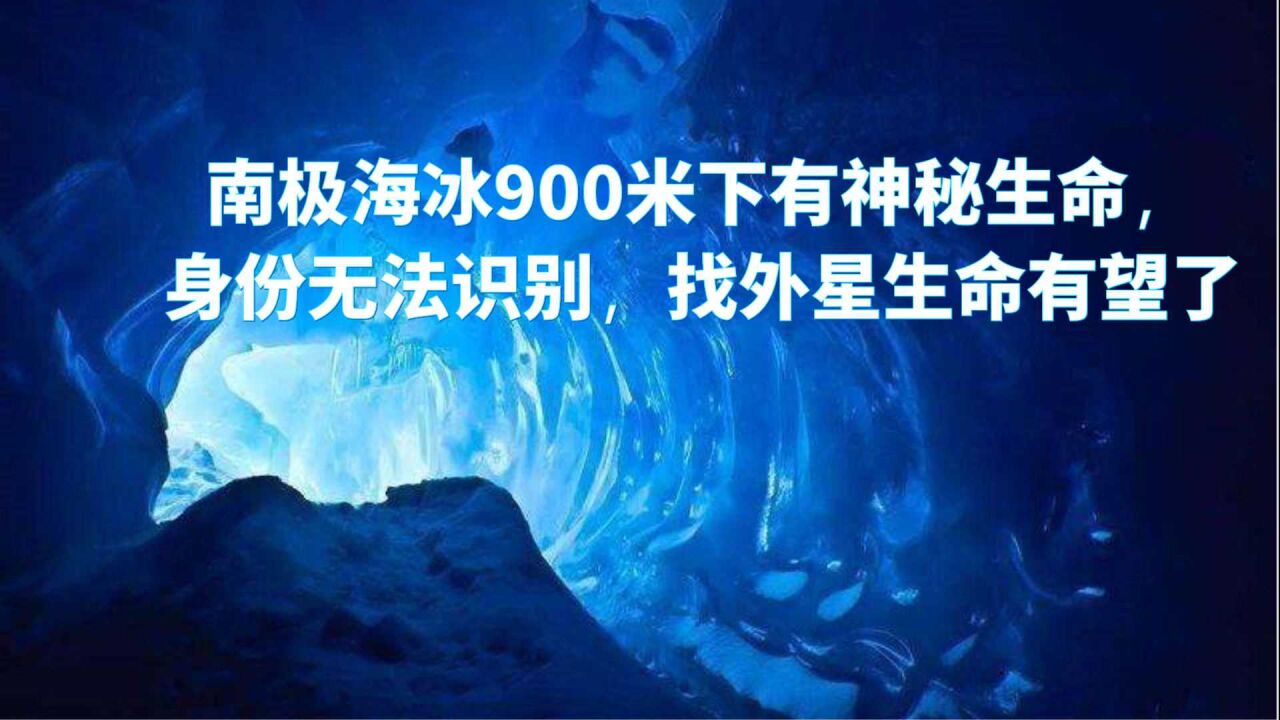 南极海冰900米下有神秘生命,身份无法识别,找外星生命有望了