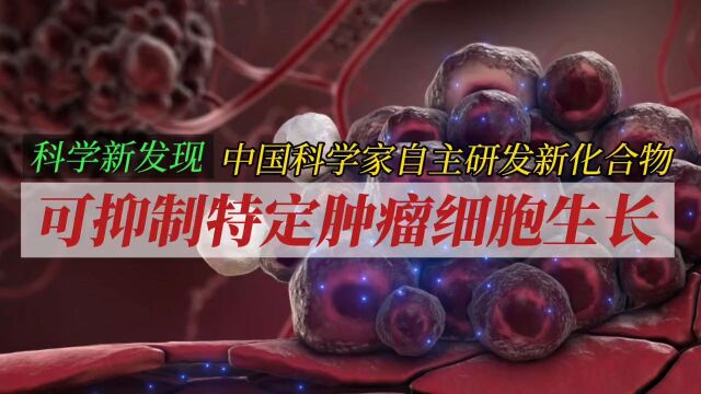 中国科学家自主研发新化合物可抑制特定肿瘤细胞生长