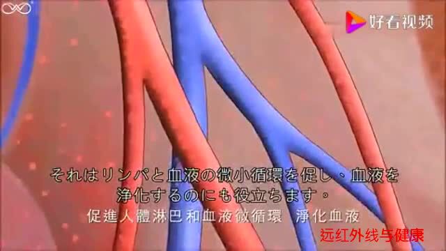 国际权威公认:远红外线对人体非常安全,没有副作用