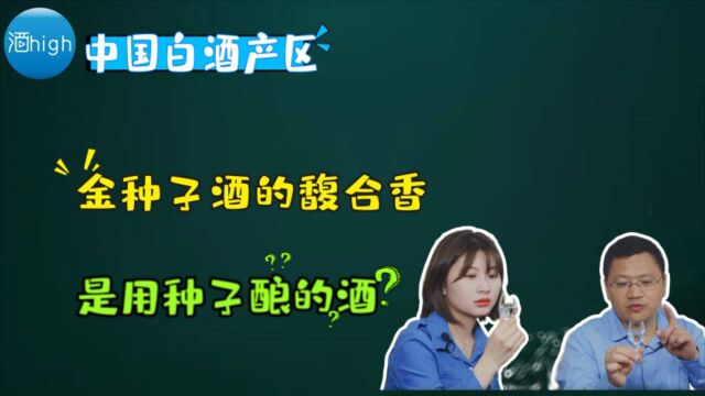 酒high肚松酒评 | 金种子酒的馥合香是真的种子用酿酒?