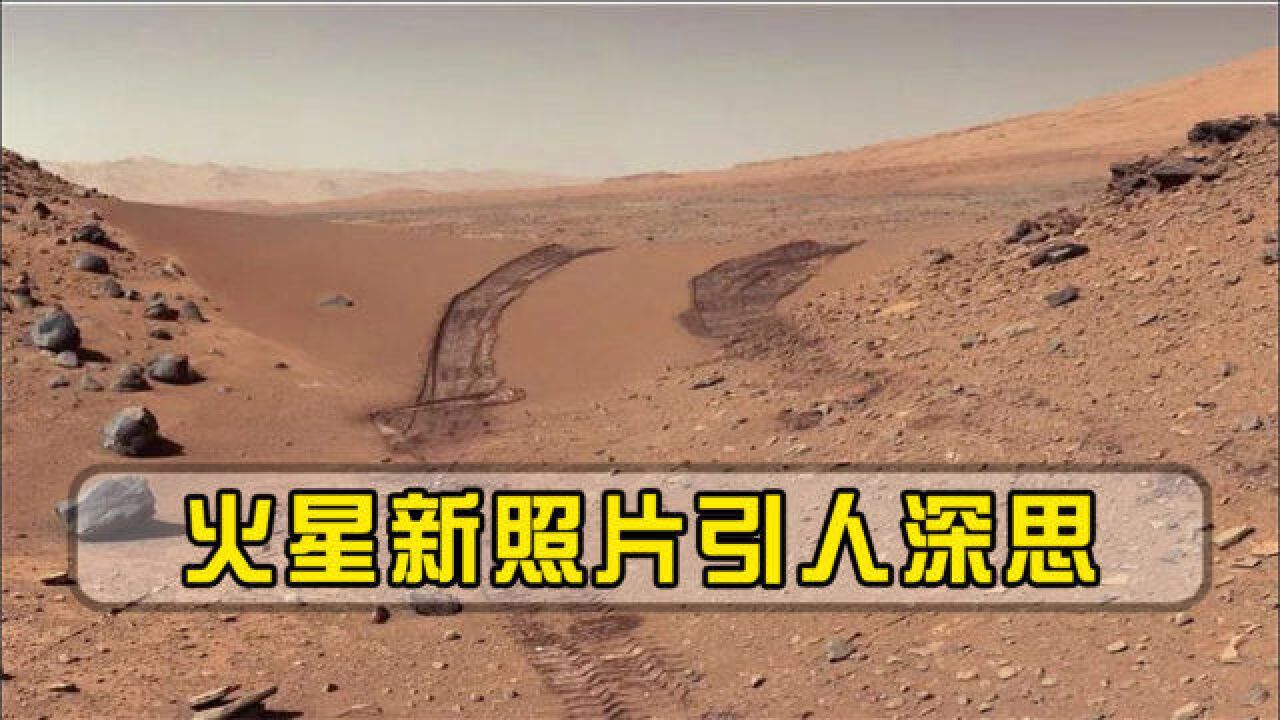 累计行驶1784米!祝融号传回火星最新照片,或是人类绝望的开始