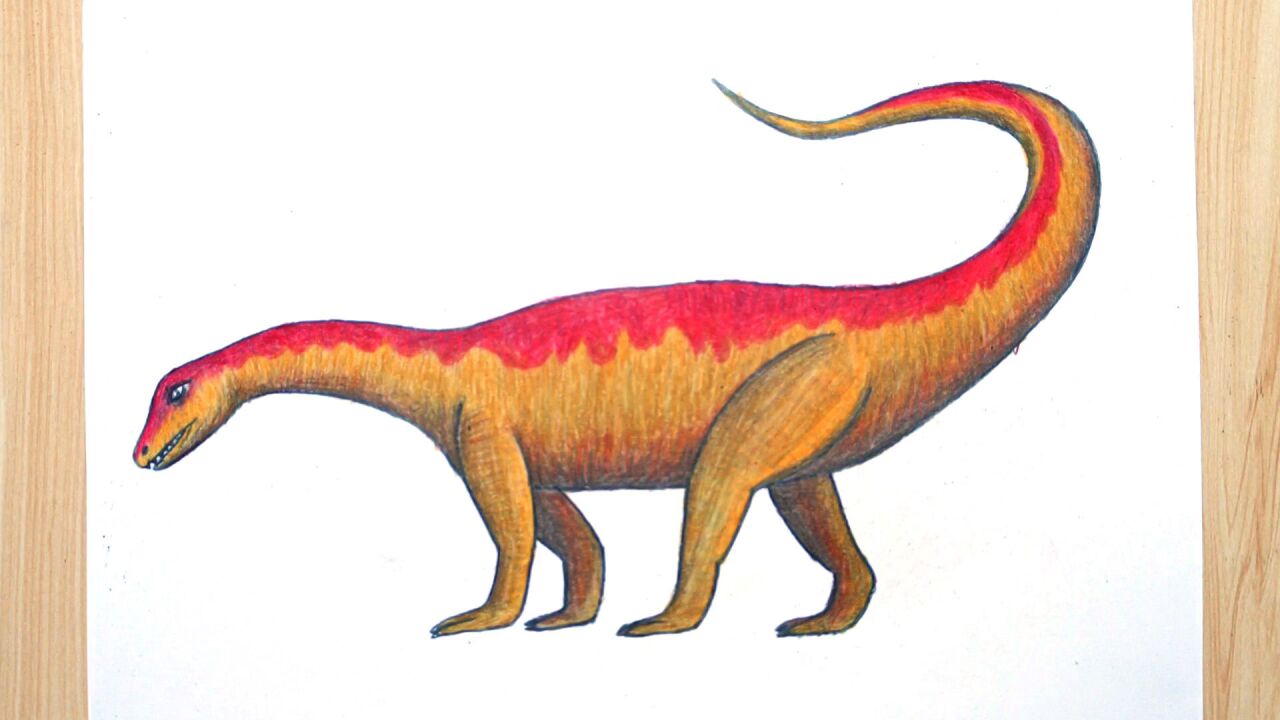 彩铅画,怎样画安琪龙?