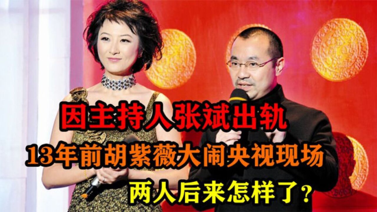 因主持人张斌出轨,13年前胡紫薇大闹央视现场,两人后来怎样了?