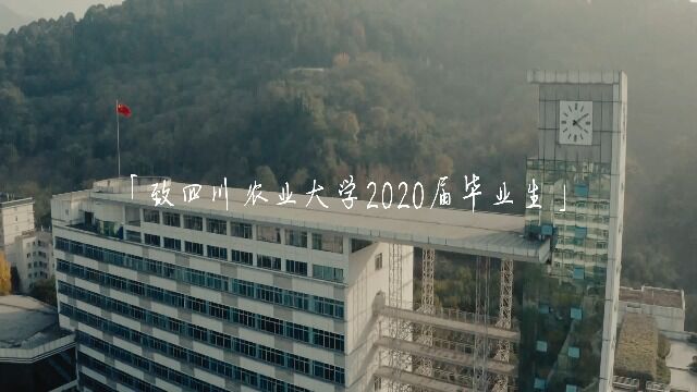 四川农业大学2020年毕业MV——起风了