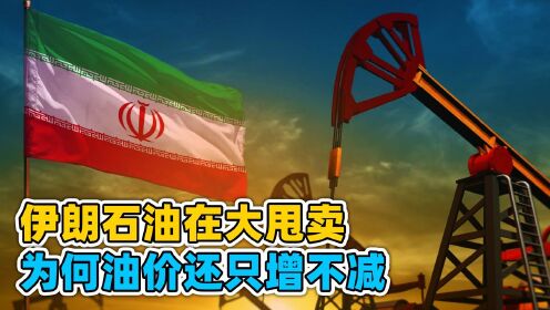 伊朗石油大甩卖，我国每天进口高达100万桶，为何油价还只增不减？
