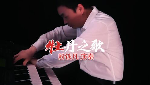 《牡丹之歌》双排键电子琴演奏：殷铁凡