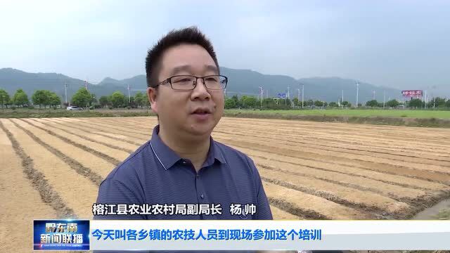 【踔厉奋发 赶超跨越】榕江:推广钵苗育秧新技术 着力实现农业现代化