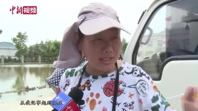 湖北仙桃防汛Ⅰ级应急响应:大面积渍水救灾仍持续