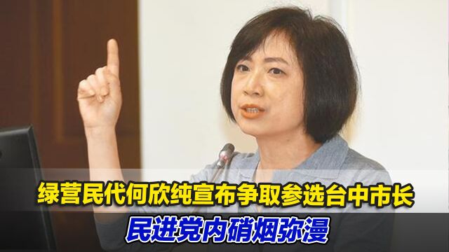 绿营民代何欣纯宣布争取参选台中市长,民进党内硝烟弥漫