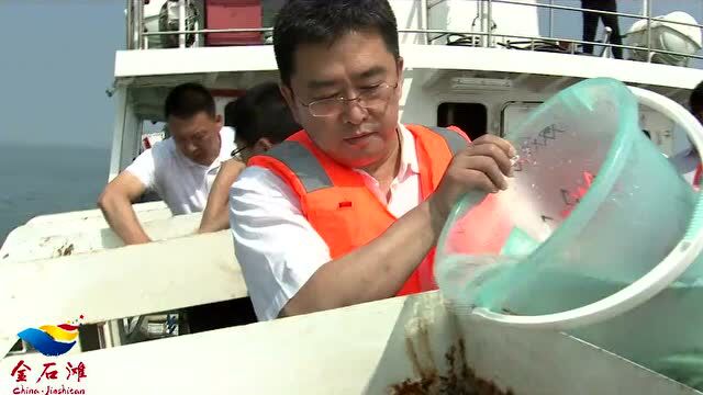 走近美丽海湾(8)丨大连金石滩湾