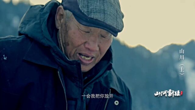 狼王”杨长生“ 放生最爱的狼崽 去守护天山的生态平衡