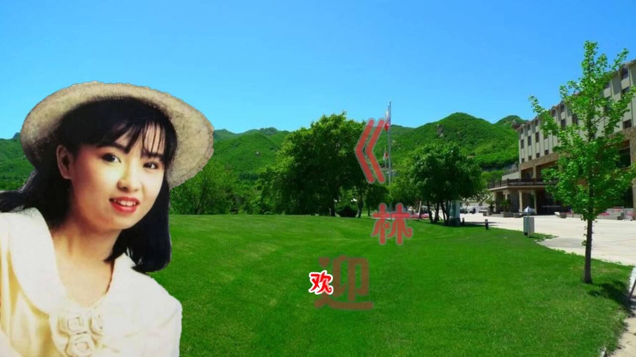 怀旧情歌《不要走》林翠萍演唱,醉心好听,百听不厌