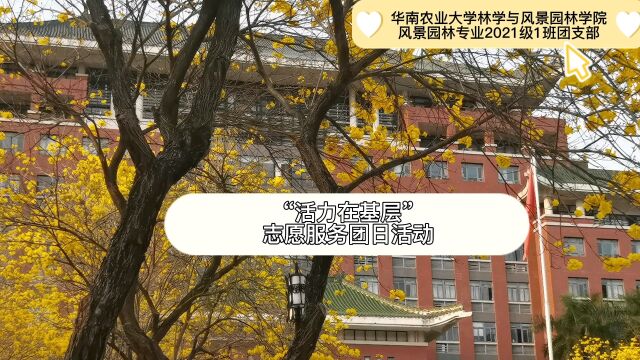 华南农业大学林学与风景园林学院2021级风景园林专业一班3月“活力在基层”主题团日活动