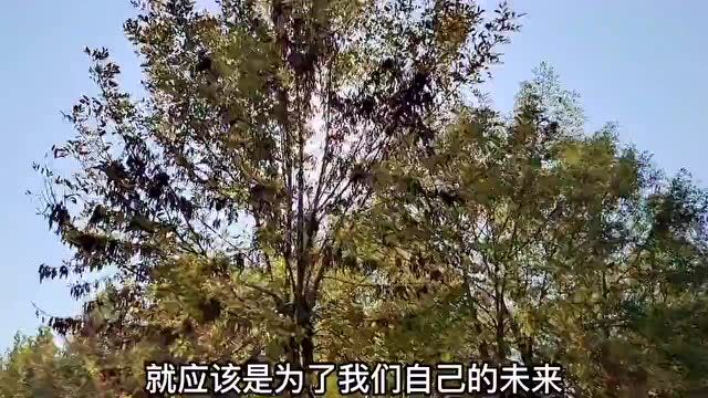 赛事 || 山东农业工程学院短视频大赛获奖名单公布!