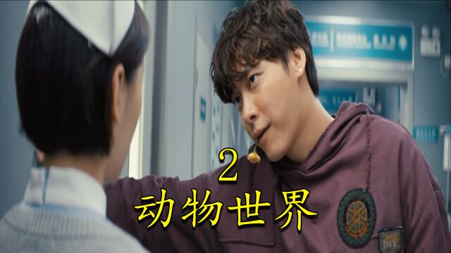 动物世界02