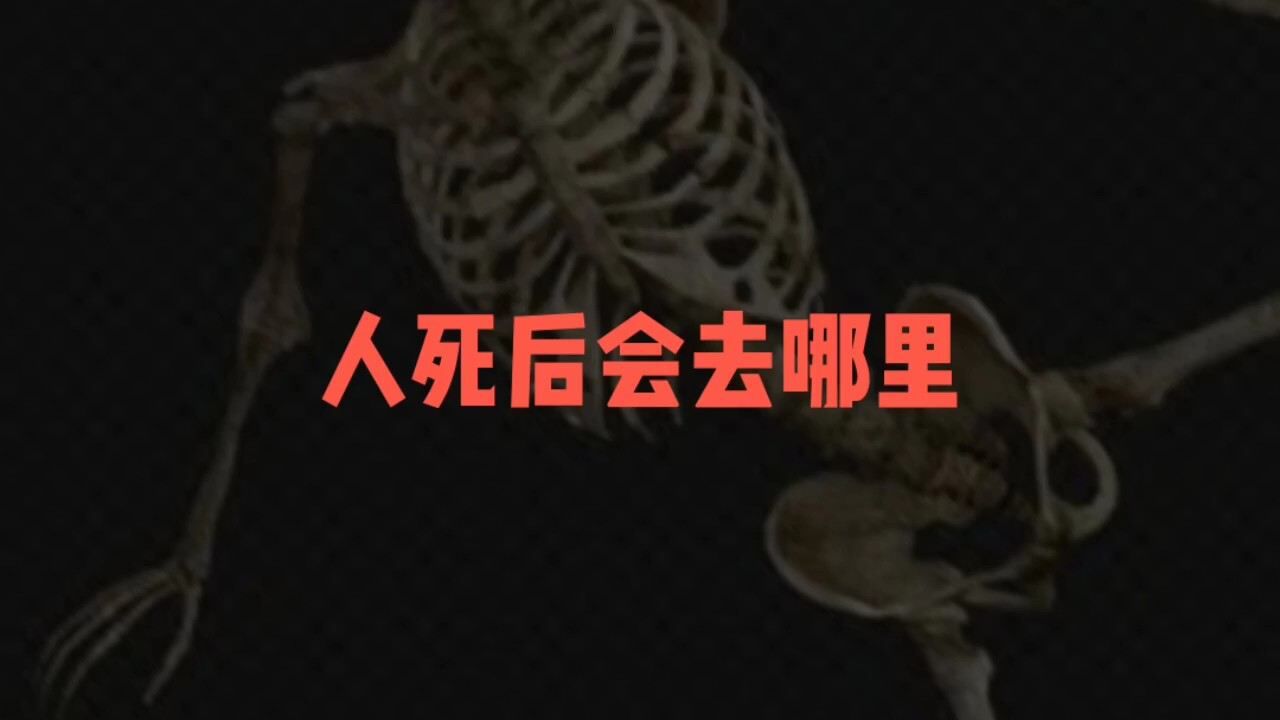 人死之后会去哪里