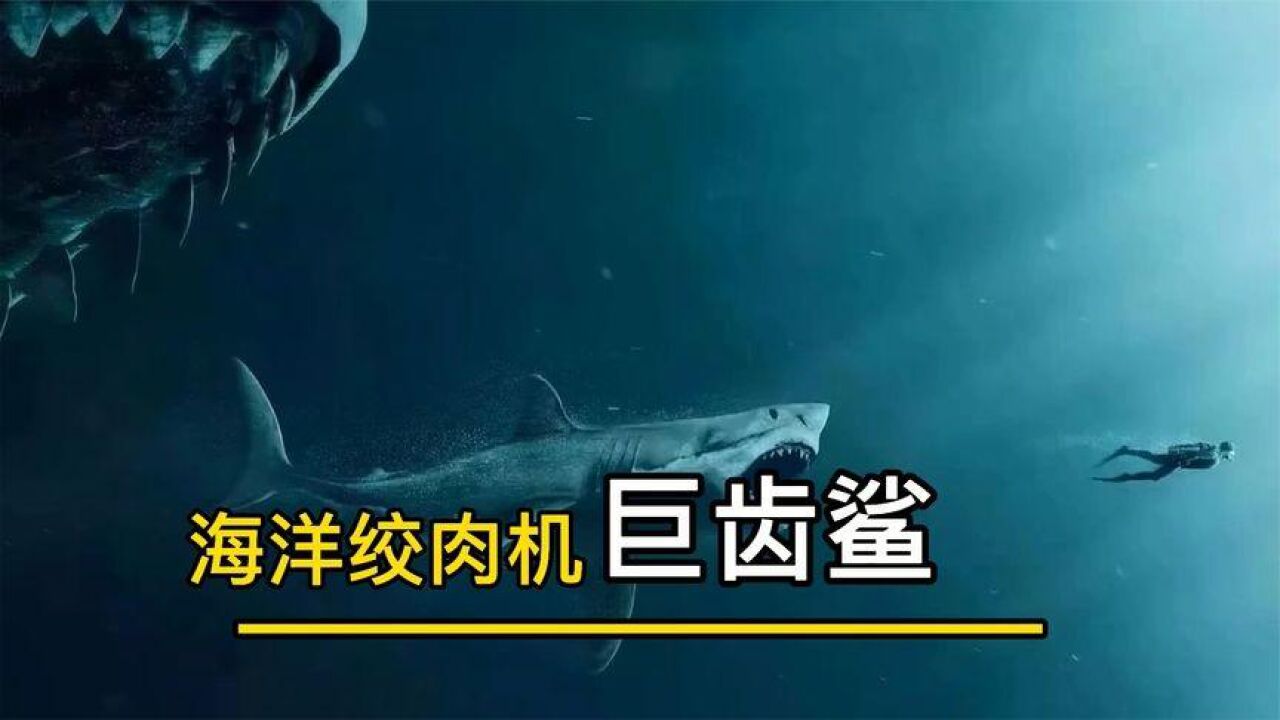 古代鲨超巨齿鲨,巨齿鲨vs六头鲨鲸鲨_大山谷图库