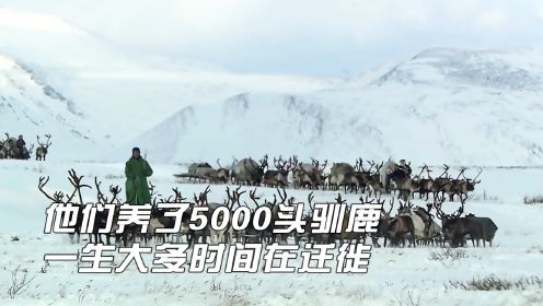 他们是北极的游牧民族，养5000头驯鹿，居无定所一生都在迁徙
