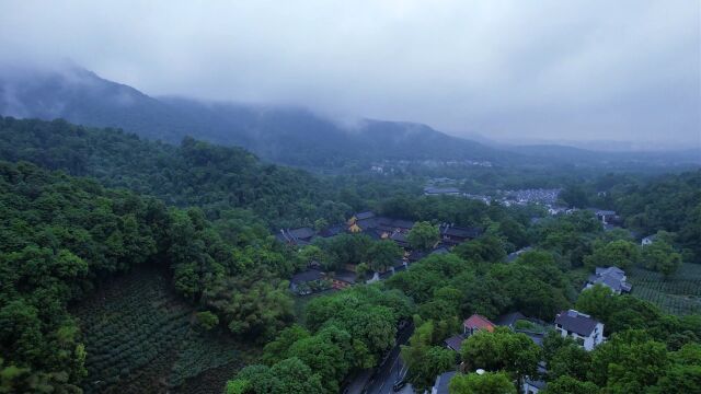 疫情下,漫步雨中寺庙:法静寺.