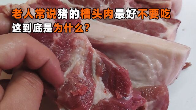 农村老人常说猪身上有块肉叫槽头肉,最好不要吃,这是为什么?