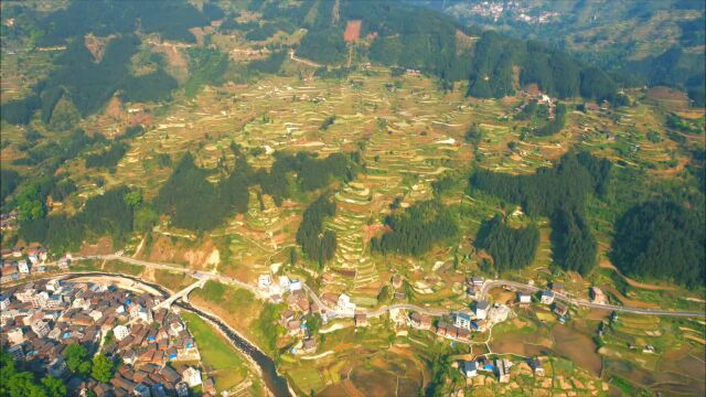 贵州洋洞梯田风景如画,被誉为最后的牛耕部落