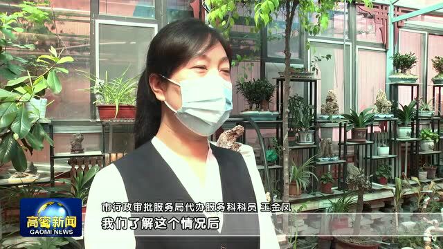 做到两统筹 夺取双胜利 | 高密市行政审批服务局 帮办代办暖民心 一枝一叶总关情