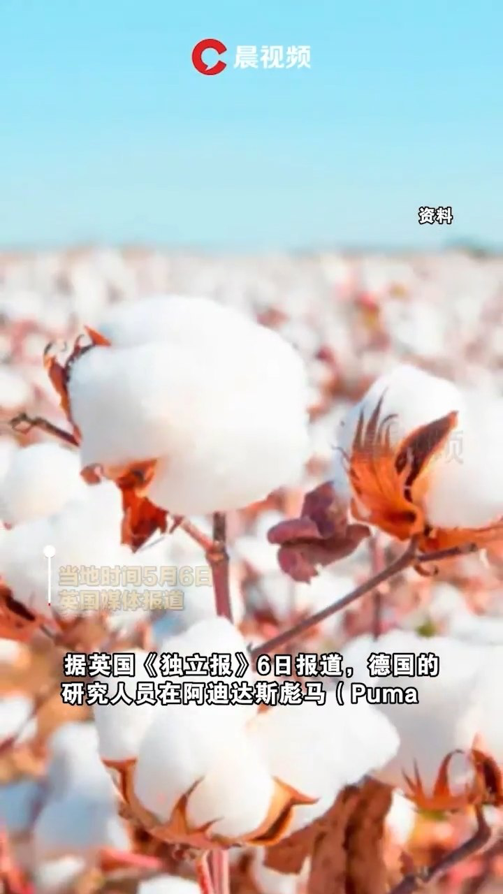 疯狂打脸?英媒爆料阿迪达斯,彪马等品牌服装中仍然含有新疆棉花