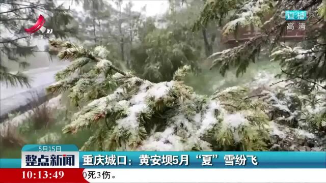 重庆城口:黄安坝5月“夏”雪纷飞