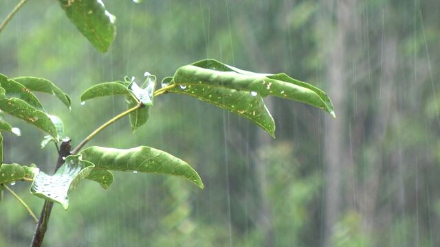 下雨天(4)