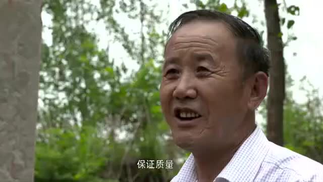 贵州织金丁宝桢:以爱民养民为第一要事