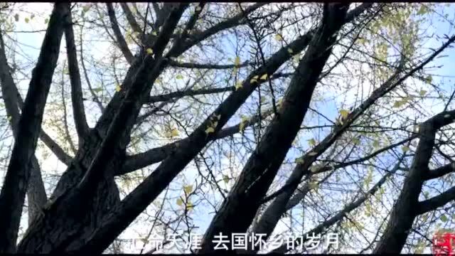 走近巨匠 | 郭沫若靠什么位列“甲骨四堂”