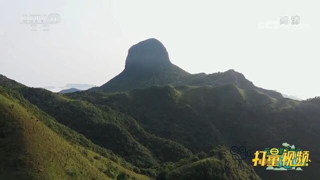 天龙顶景色宜人,主峰海拔1200多米,是梧州第一高峰