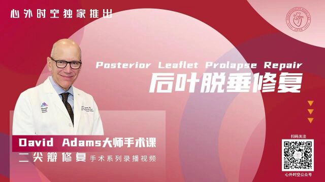 第一课 Posterior Leaflet Prolapse 后叶脱垂修复