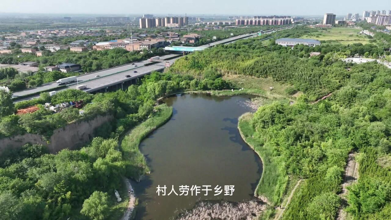 临潼凤凰池生态谷图片