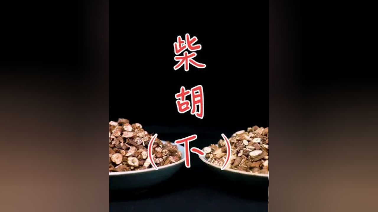 柴胡炮制(下)用鳖血炮制现在应该很少了吧#非遗传承 #传统手艺