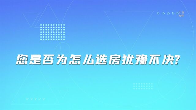 仪陇融媒买房大团购成品FHD0520定