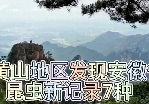 黄山市首次发现!