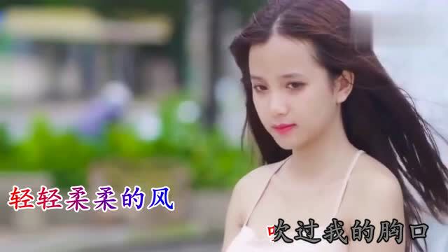 抖音热门中文CLUB音乐DJ慢摇车载串第481张CD专辑