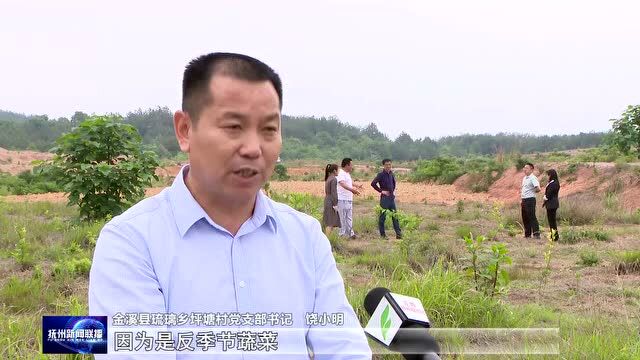 金溪县琉璃乡坪塘村:打造党建云平台为乡村振兴赋能