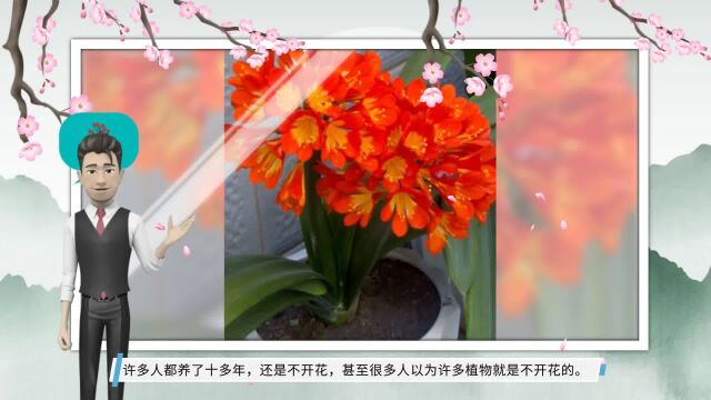 6种“绿叶花”,没人见过它们开花,但一旦开花,寓意好兆头来了