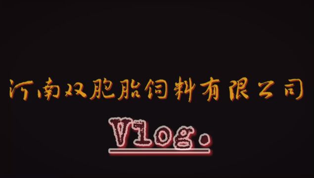 河南双胞胎饲料有限公司(宣传片)