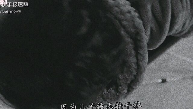 黑色太阳精彩片段五