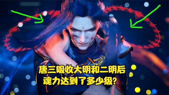 斗罗大陆:唐三吸收大明和二明后,魂力达到了多少级?